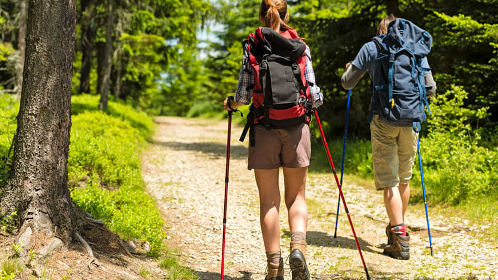 percorsi trekking castelfiorentino via francigena